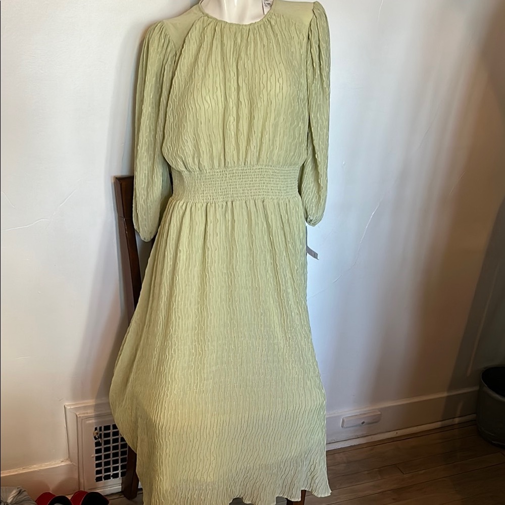 Light Green Zoe & Clair Long Sleeve Smocked Waist Midi Dress